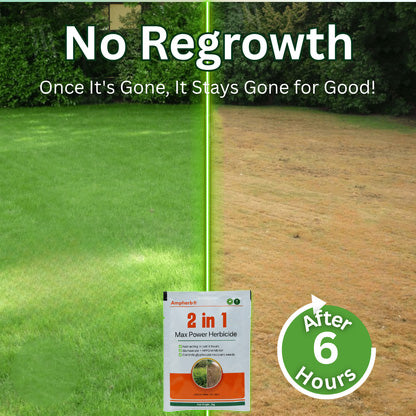 Ampherb® 2 in 1 Max Power Herbicide