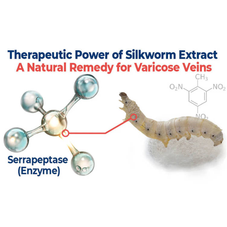 SEURICO™ Vein Dredge Silkworm Extract Spray 🌿✨ - Relief for Varicose Veins & Better Circulation 💪💧