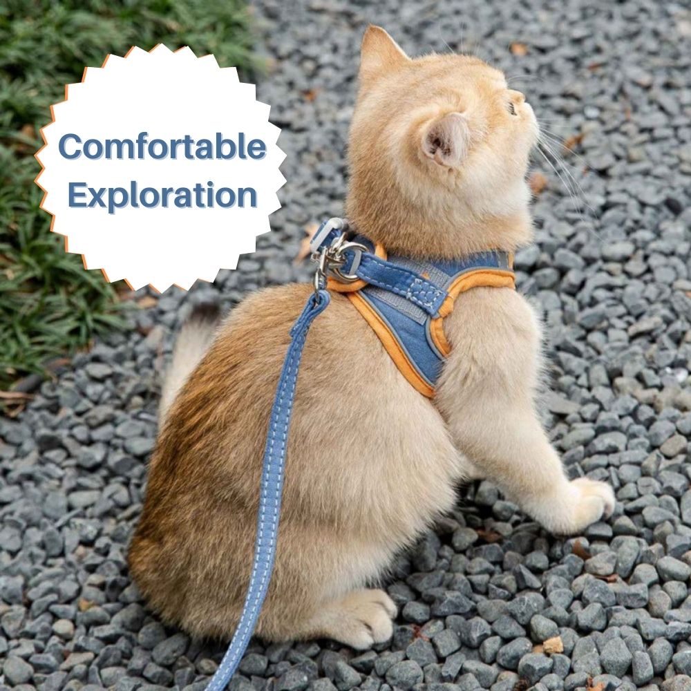 FurryLead™ Cat Harness And Leash Set