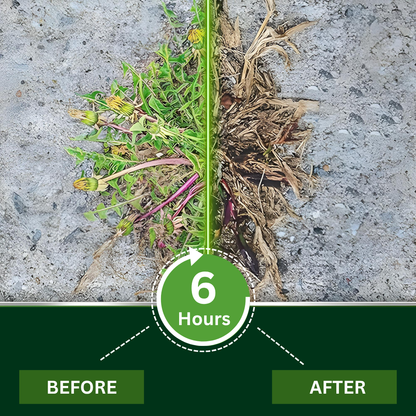 Ampherb® 2 in 1 Max Power Herbicide