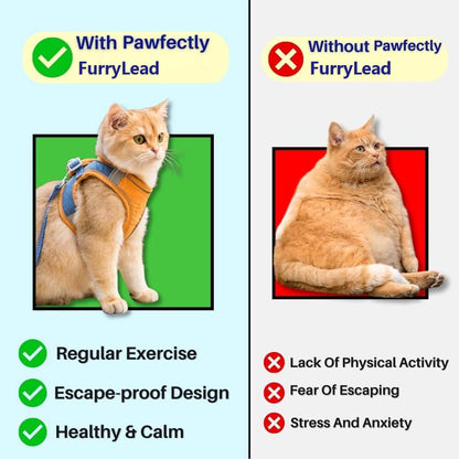 FurryLead™ Cat Harness And Leash Set