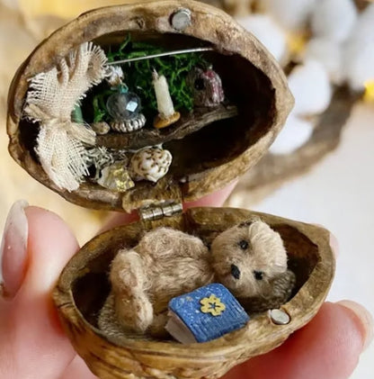 NEW Handmade ?? Walnut Shell Doll House--mini library, tiny World inside walnuts